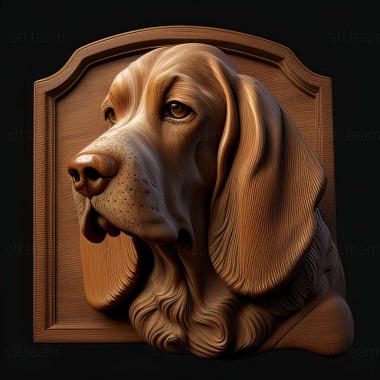 3D model The Italian Hound dog (STL)